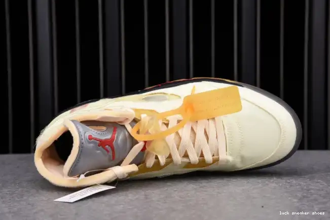 Reps LUCY 5 Jordan Retro DH8565-100 OFF-WHITE Sail 0624